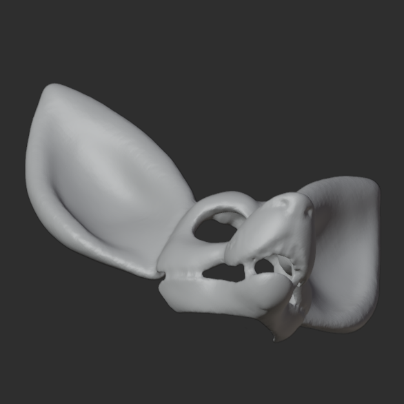 Fennec Fox Mask
