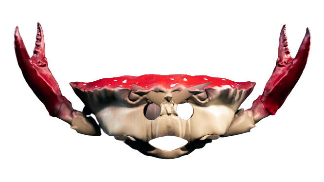 Crab mask