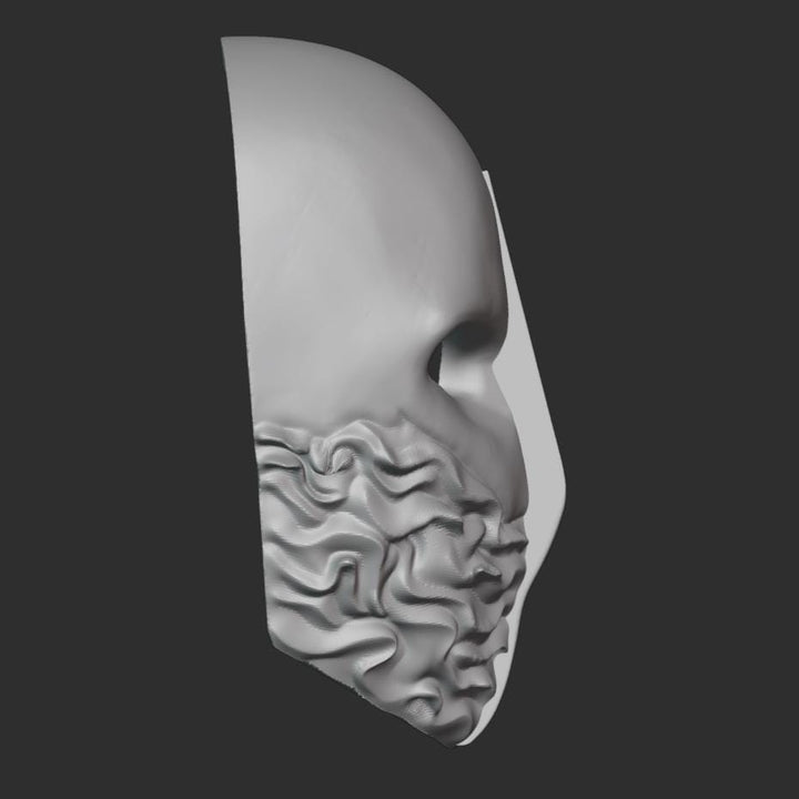 AVIANA inspired Mask Stl File | AVIANA inspired Mask Digital File