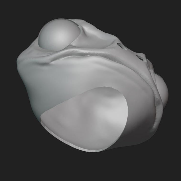 Frog Mask Stl File | Frog Mask Digital File
