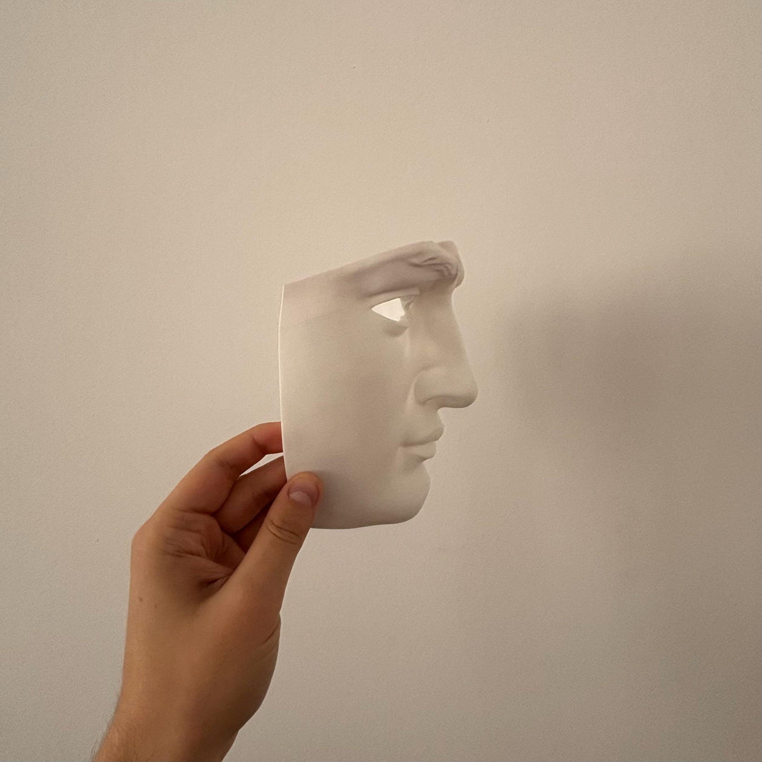 David Front Mask/Cosplay | Pick Any Color | Halloween Mask with Velcro Strap Included