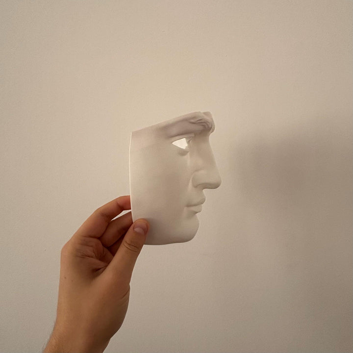 David Front Mask/Cosplay | Pick Any Color | Halloween Mask with Velcro Strap Included