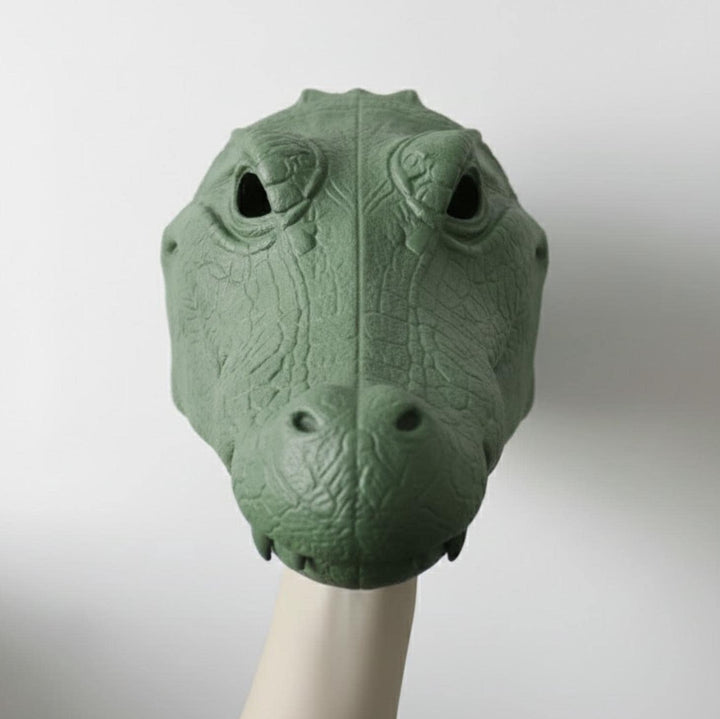 Crocodile Mask / Cosplay