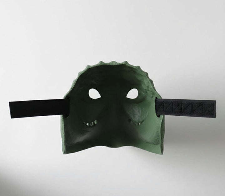 Crocodile Mask / Cosplay