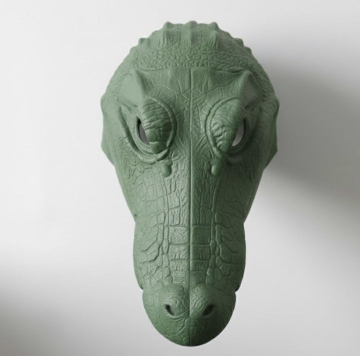 Crocodile Mask / Cosplay