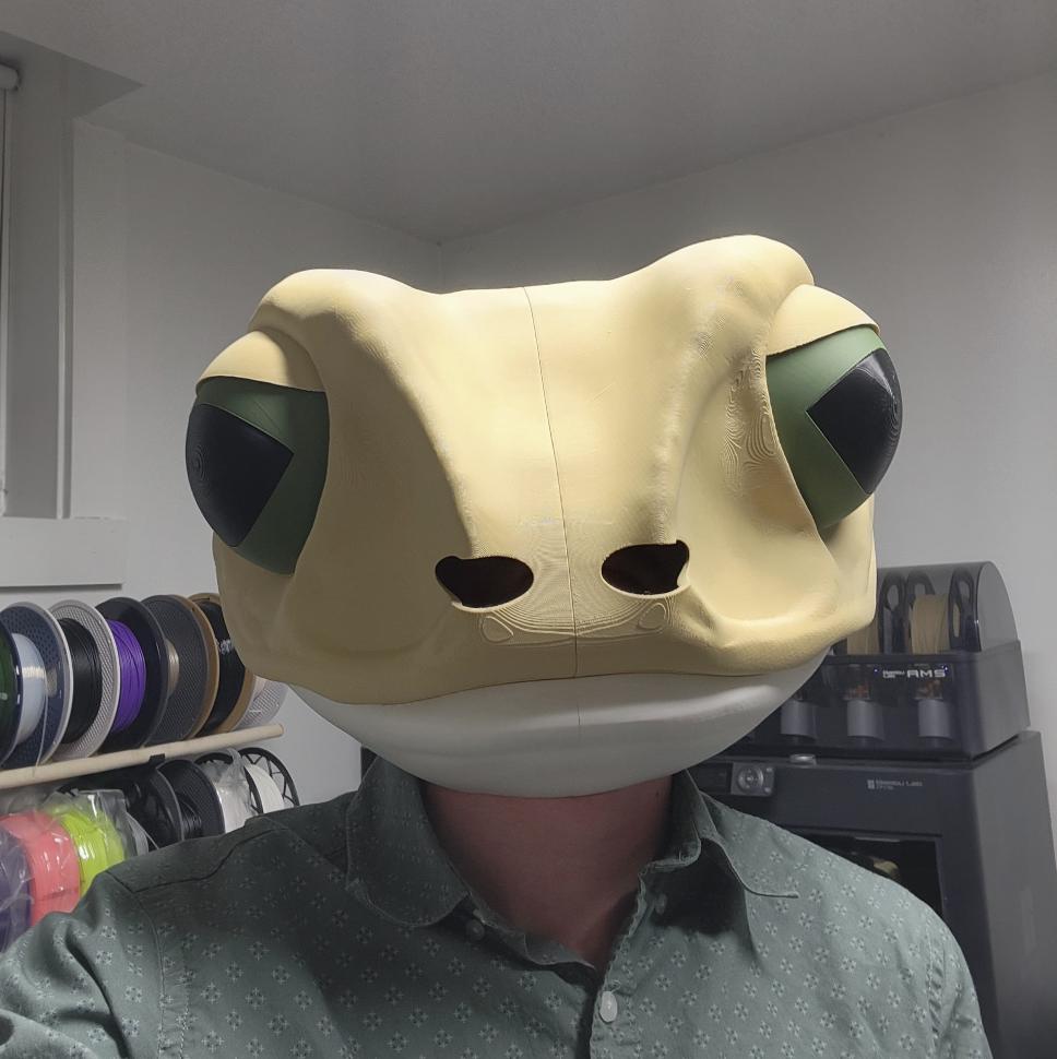 Frog Mask - Fully Painted or Single Color