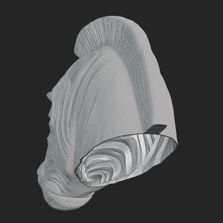 Zebra Pixel Mask Stl File | Zebra Pixel Helmet Digital File