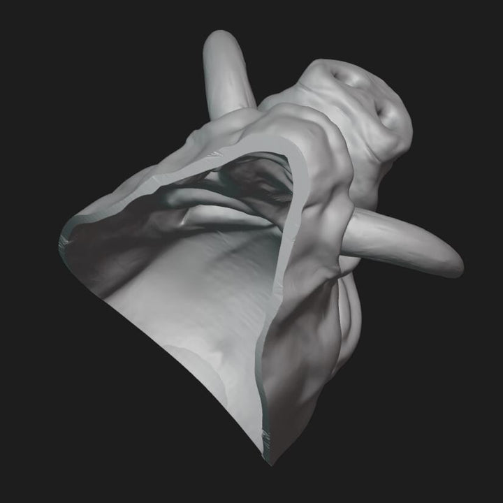 Boar Mask Stl File | Boar Mask Digital File