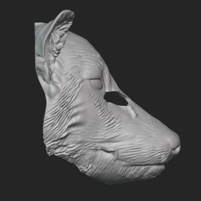 Tasmanian Tiger Mask Stl File | Tasmanian TigerMask Digital File